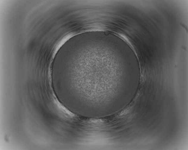 X0000102821243200808251103