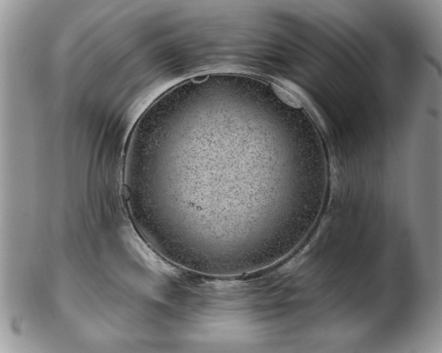 X0000102821244200808251103