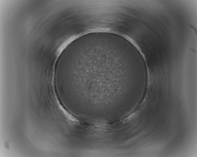X0000102821245200808251103