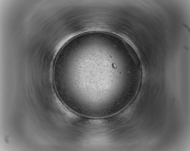 X0000102821246200808251103
