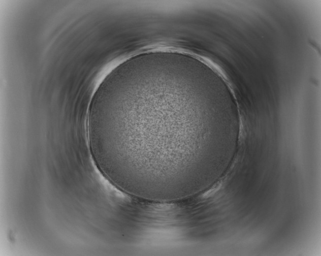 X0000102821247200808251103