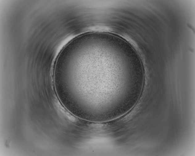X0000102821248200808251103