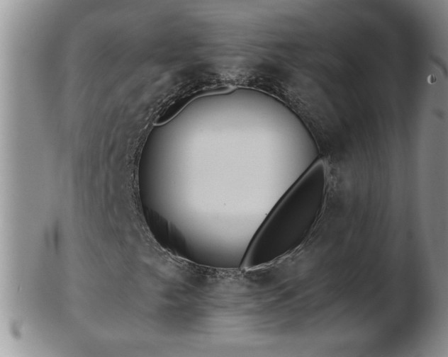 X0000102821249200808251102