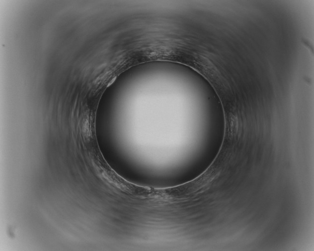 X0000102821250200808251102