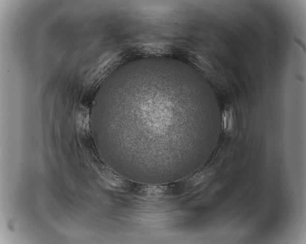 X0000102821251200808251102