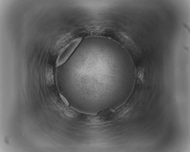 X0000102821252200808251102