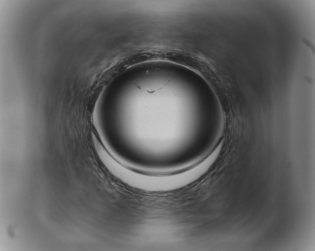 X0000102821253200808251102