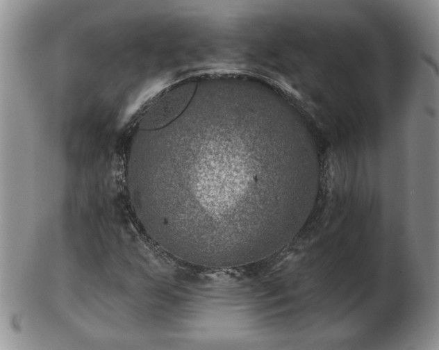 X0000102821255200808251102