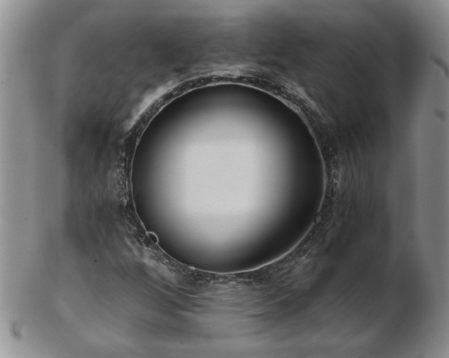 X0000102821256200808251102