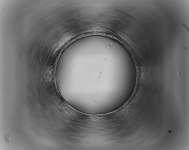 X0000102821258200808251102