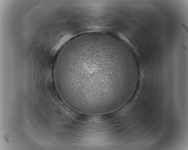 X0000102821259200808251102