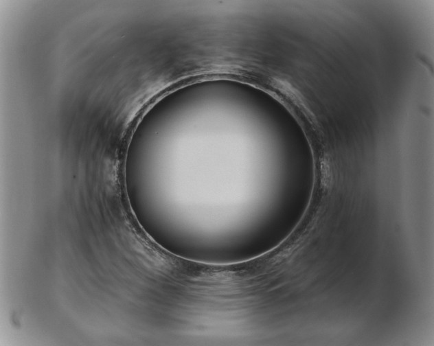 X0000102821260200808251102