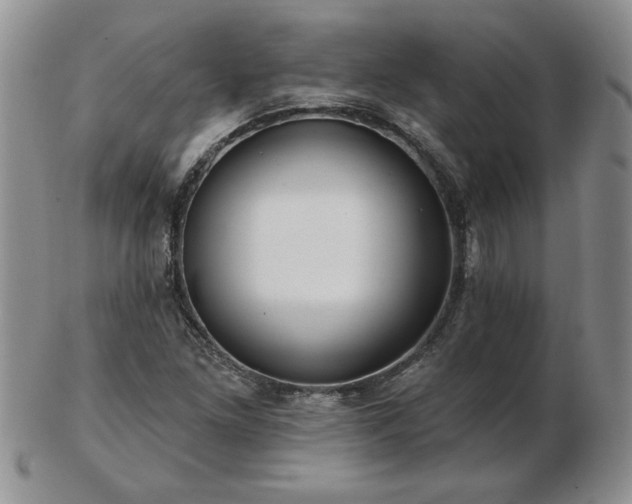 X0000102821261200808251102