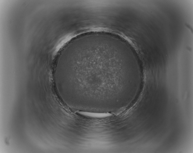 X0000102821263200808251102