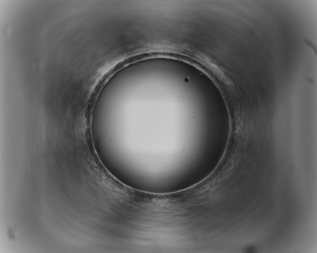 X0000102821264200808251102