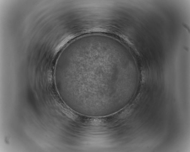 X0000102821266200808251102