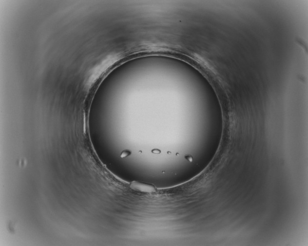 X0000102821269200808251102