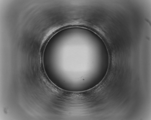 X0000102821270200808251102