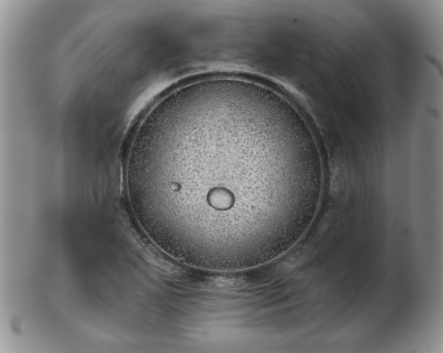X0000102821271200808251102