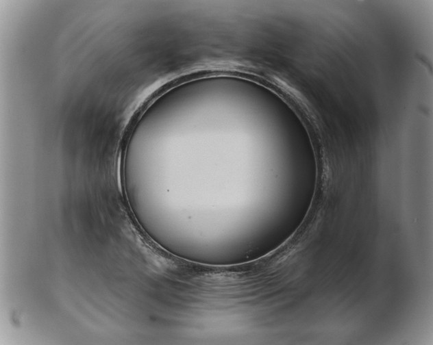 X0000102821272200808251102