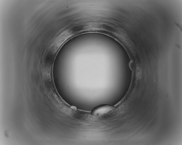 X0000102821273200808251102
