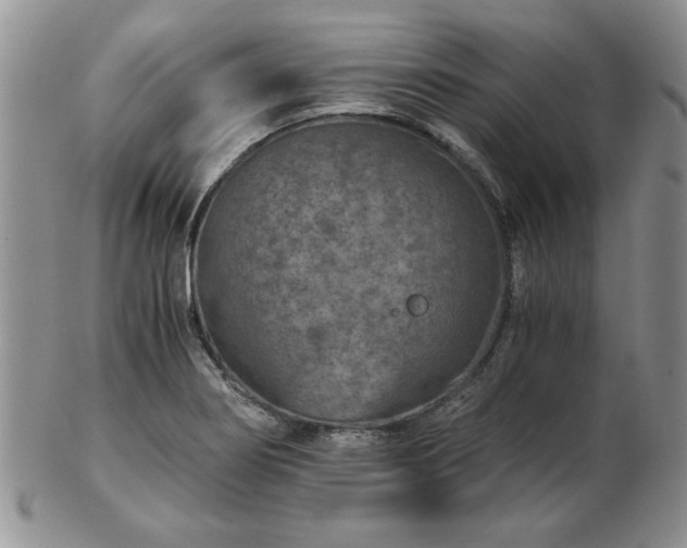 X0000102821274200808251102