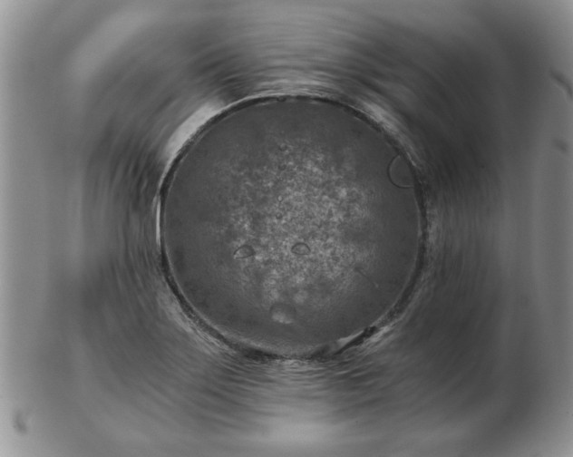 X0000102821275200808251102