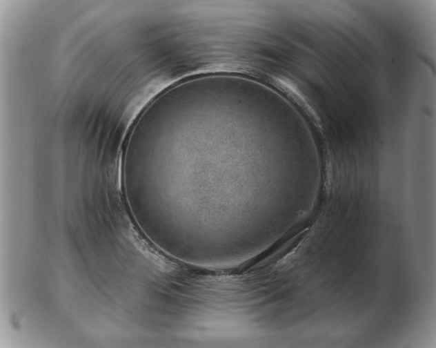 X0000102821276200808251102