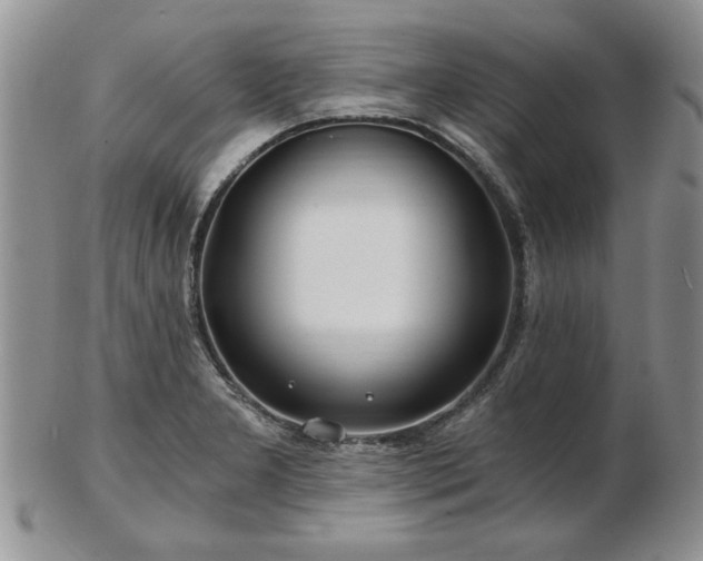 X0000102821277200808251102