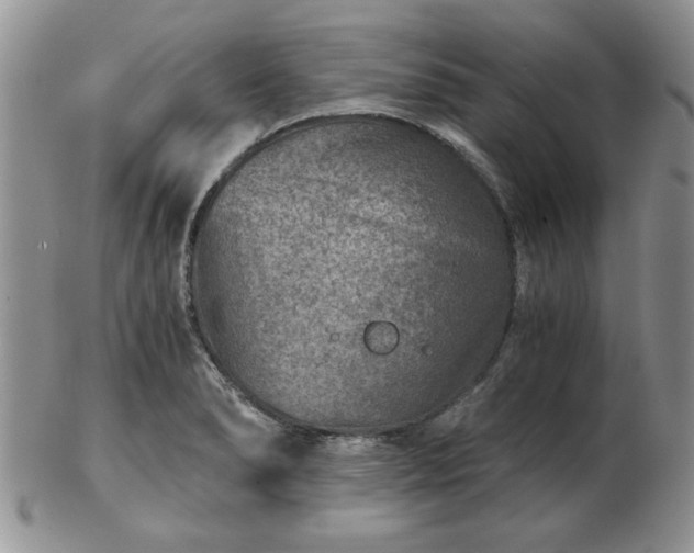 X0000102821278200808251102