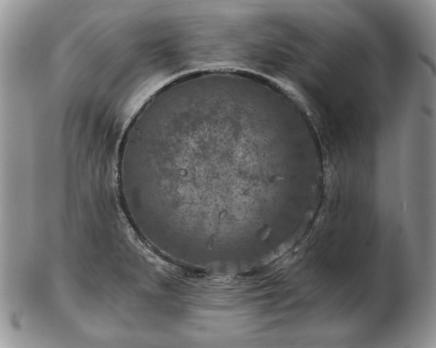 X0000102821279200808251102