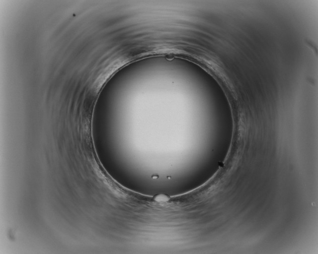 X0000102821281200808251102
