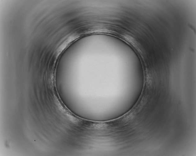 X0000102821282200808251102