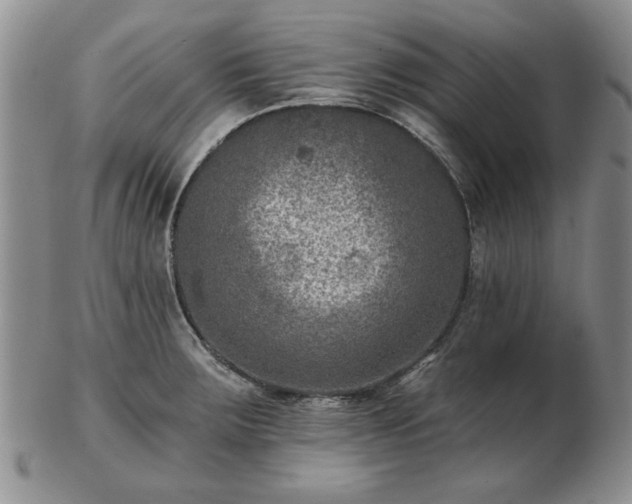 X0000102821283200808251102