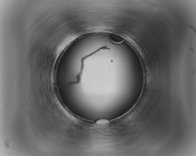 X0000102821285200808251102