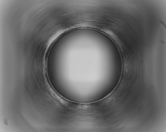 X0000102821286200808251102