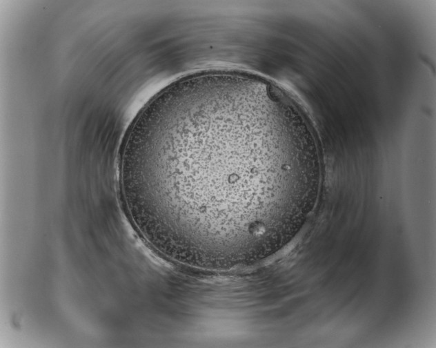 X0000102821287200808251102