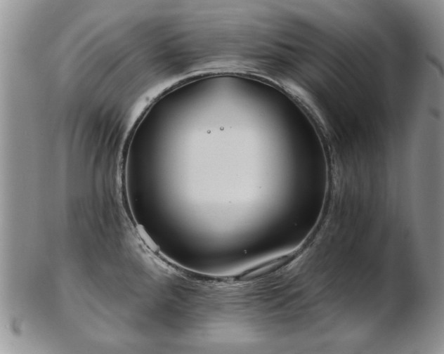 X0000102821288200808251102