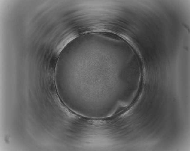 X0000102821289200808251102