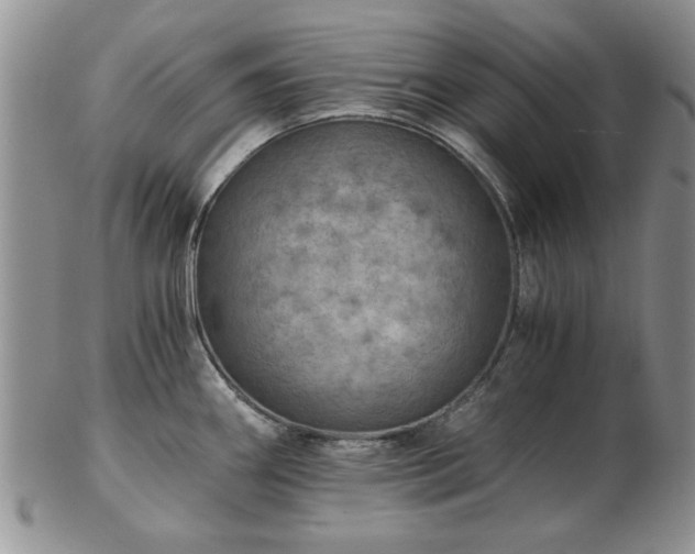 X0000102821290200808251102