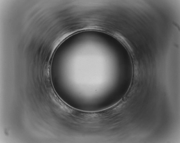 X0000102821292200808251102