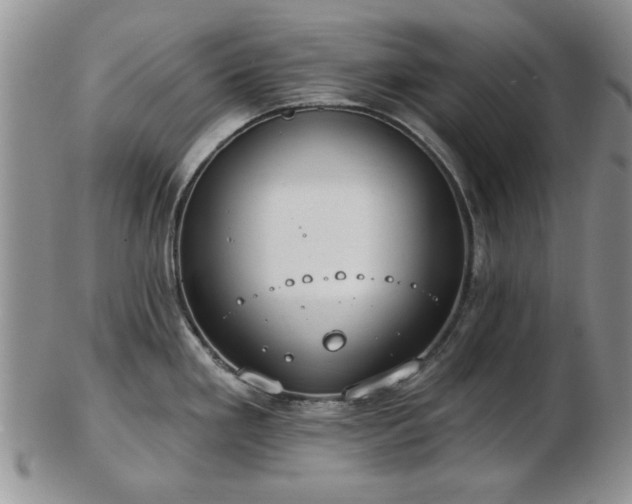 X0000102821293200808251102