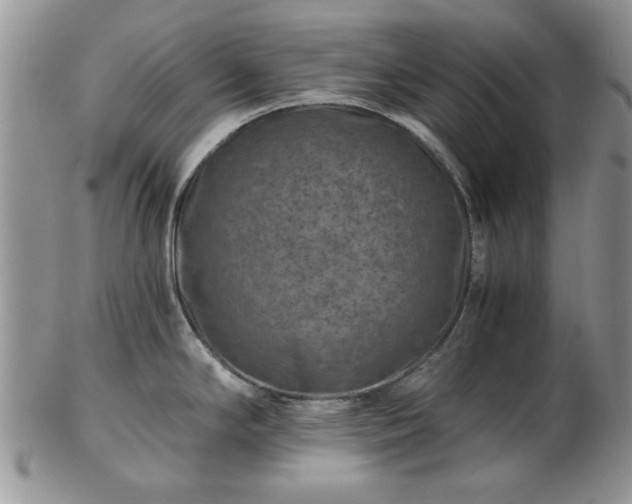 X0000102821294200808251102