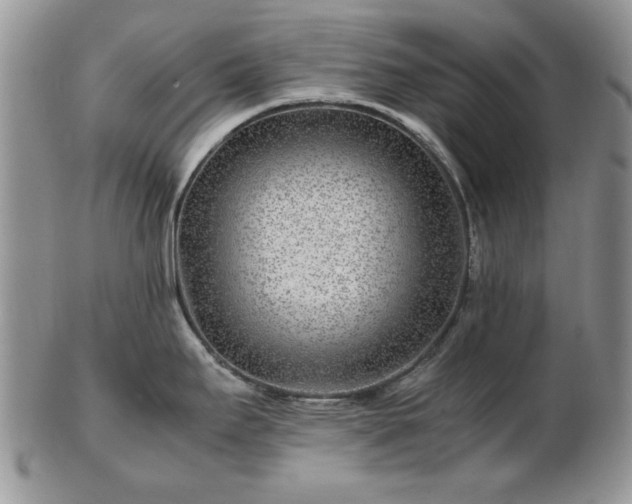 X0000102821295200808251102