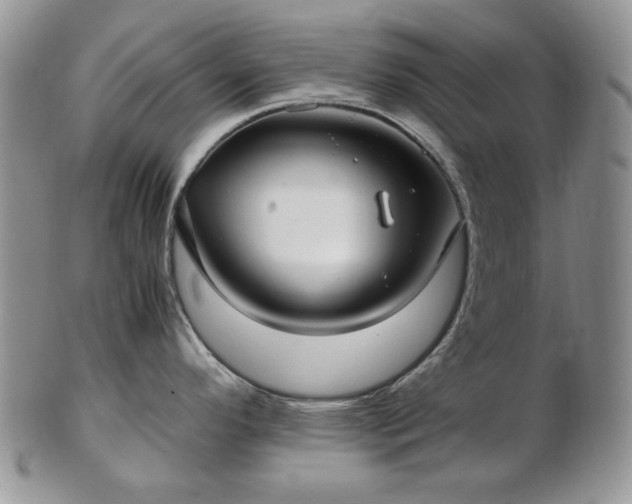 X0000102821296200808251102