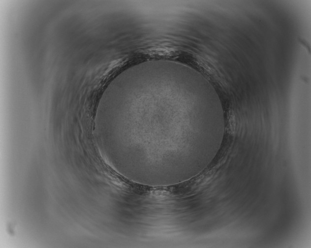 X0000102821297200808251101