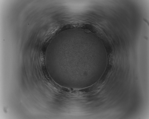 X0000102821298200808251101