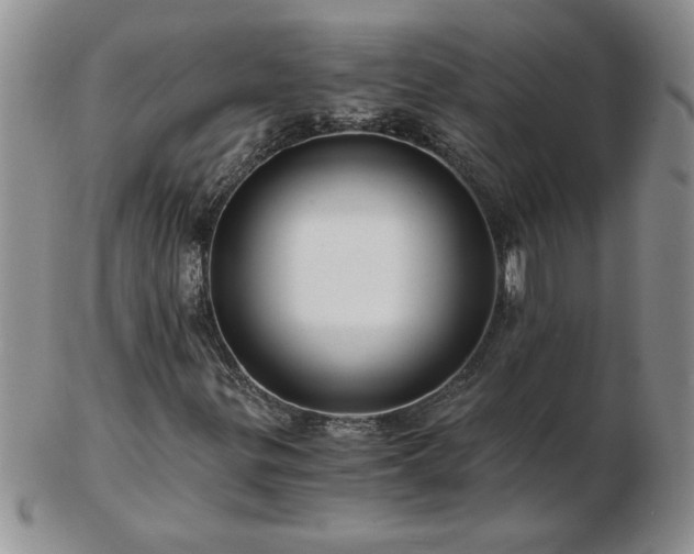 X0000102821299200808251101