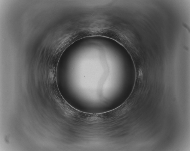 X0000102821300200808251101