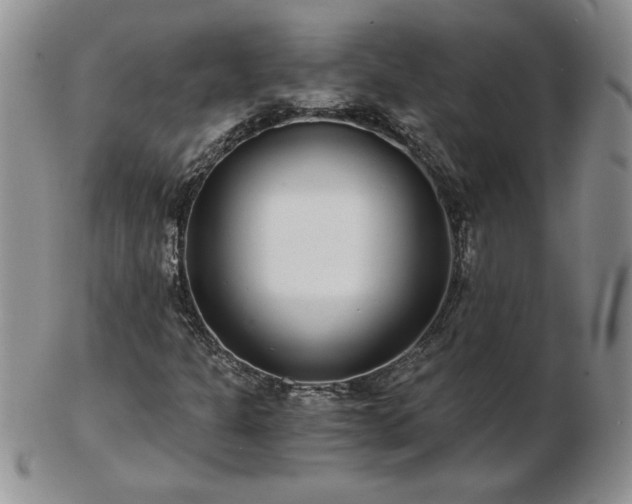 X0000102821301200808251101